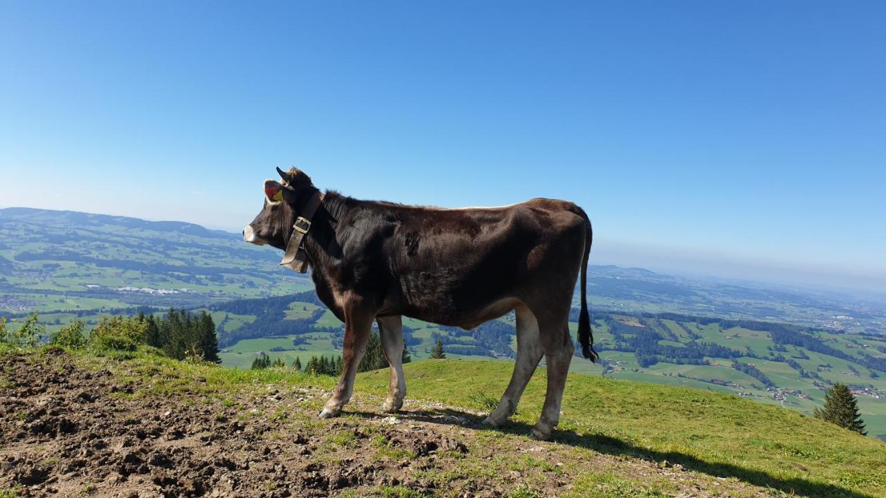 Allgaeu Bergluft Weitnau Luaran gambar