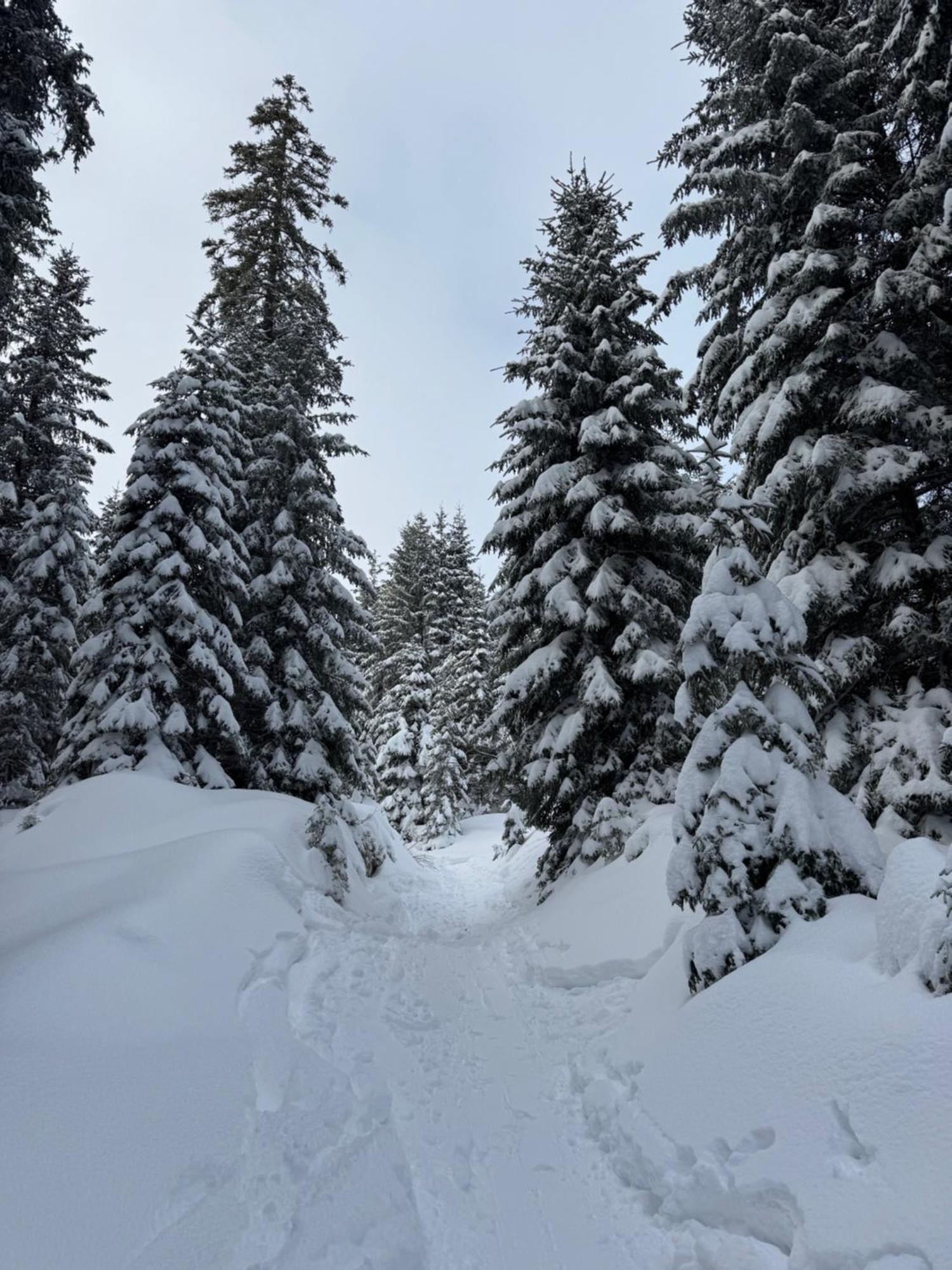 Allgaeu Bergluft Weitnau Luaran gambar
