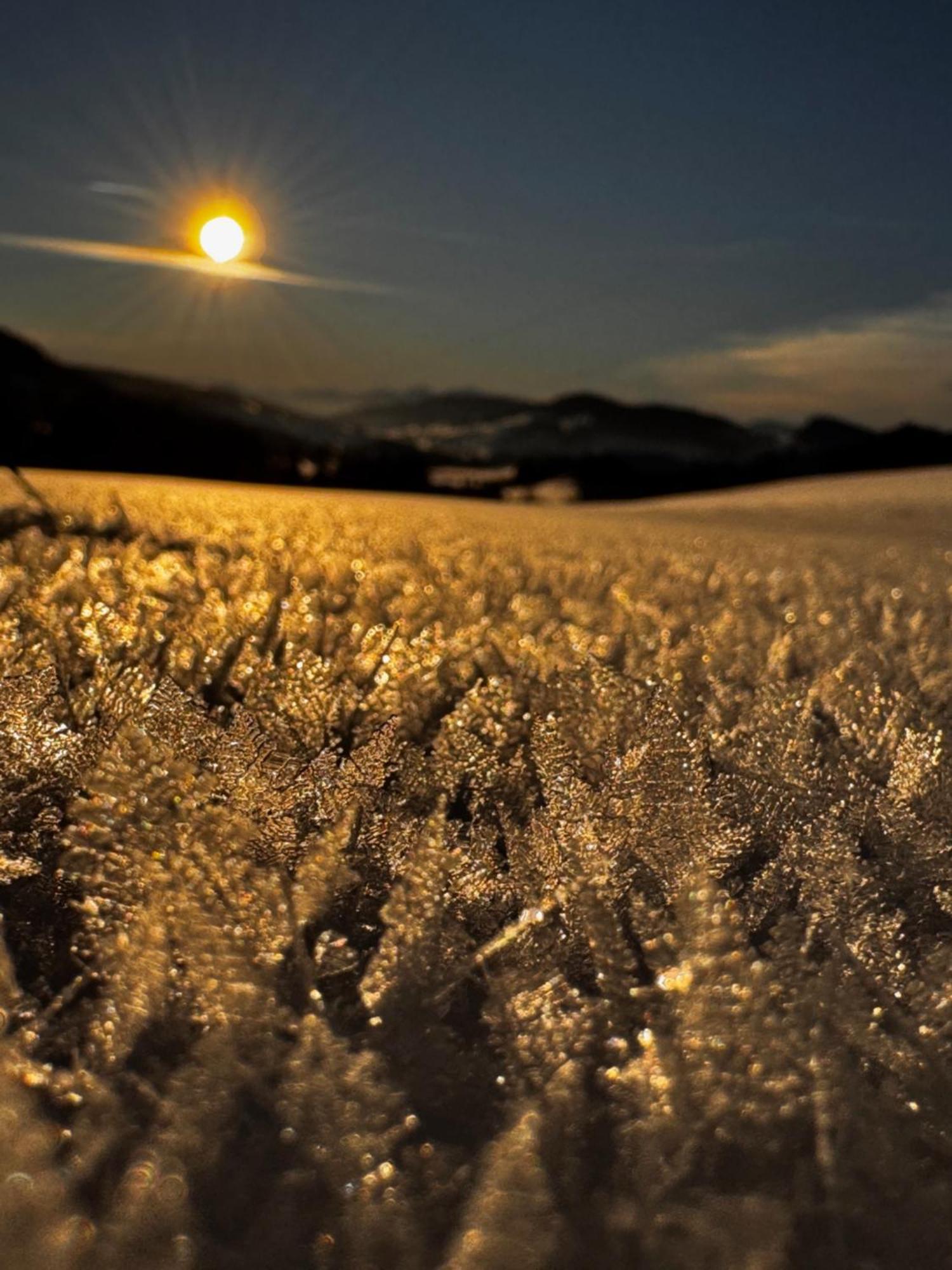 Allgaeu Bergluft Weitnau Luaran gambar