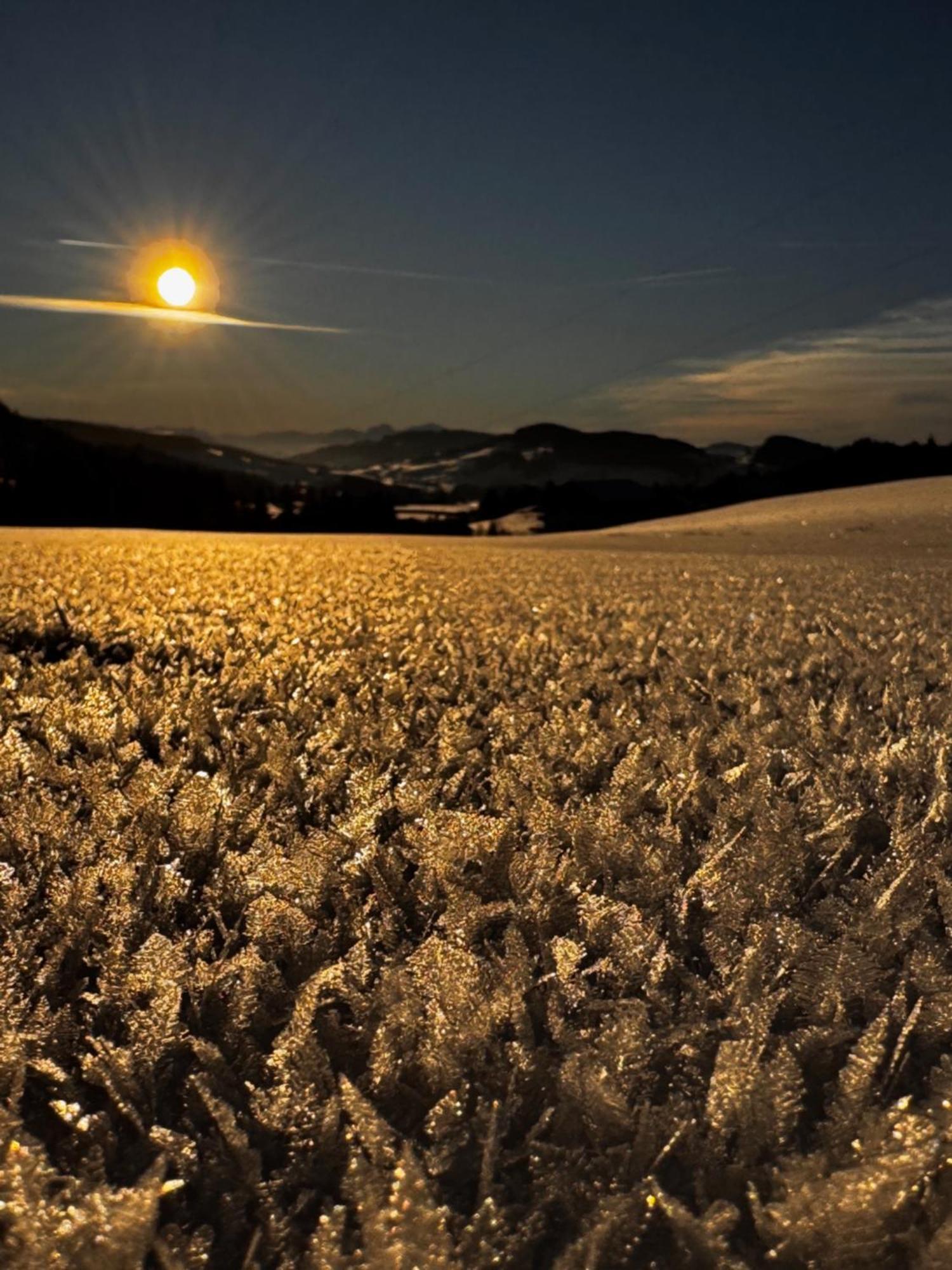 Allgaeu Bergluft Weitnau Luaran gambar