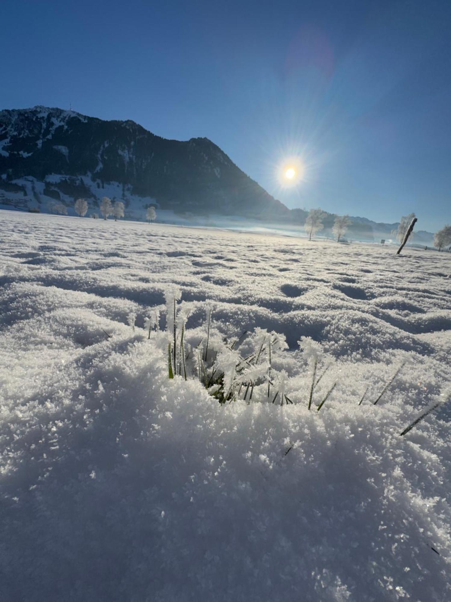 Allgaeu Bergluft Weitnau Luaran gambar