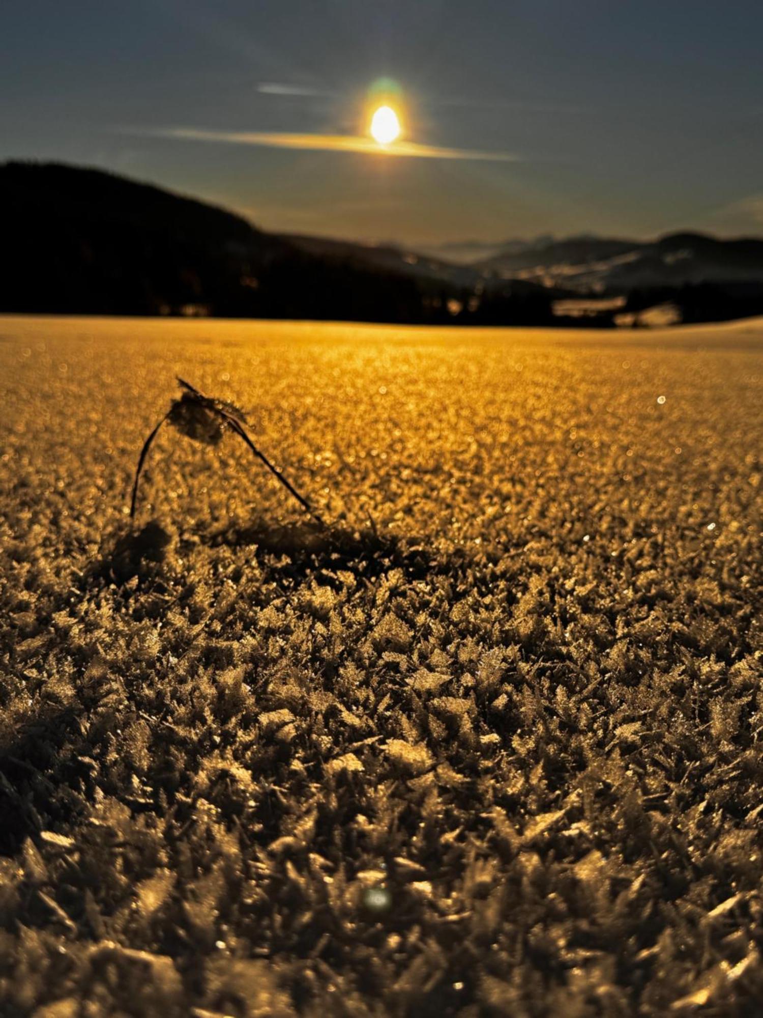 Allgaeu Bergluft Weitnau Luaran gambar