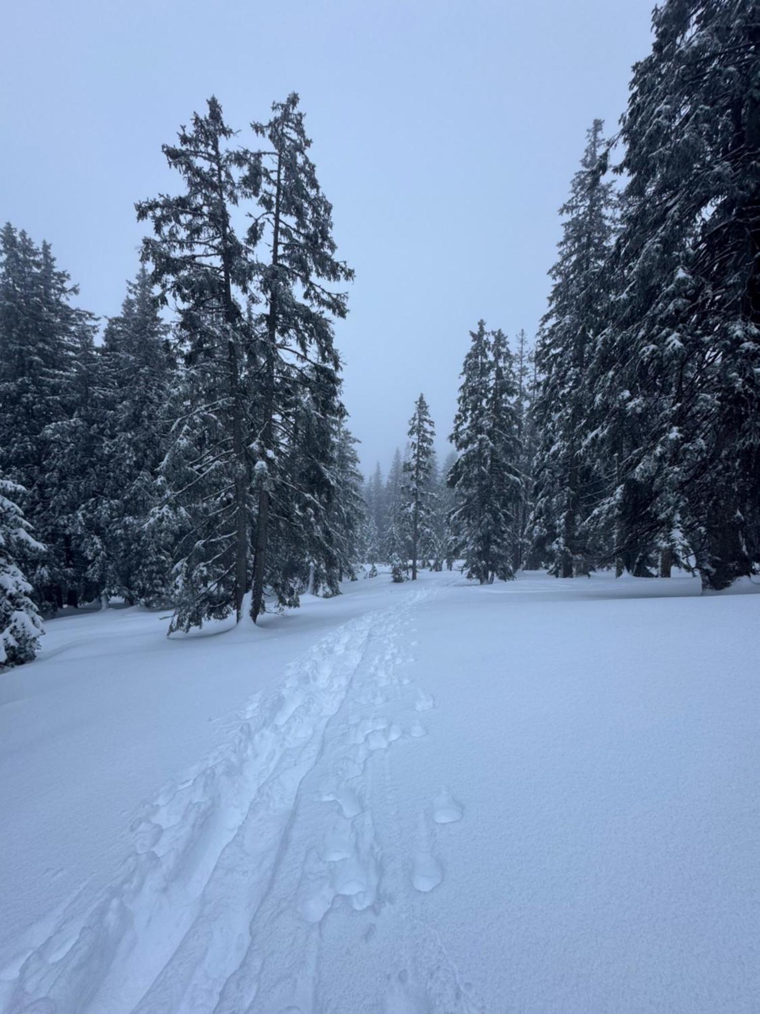 Allgaeu Bergluft Weitnau Luaran gambar